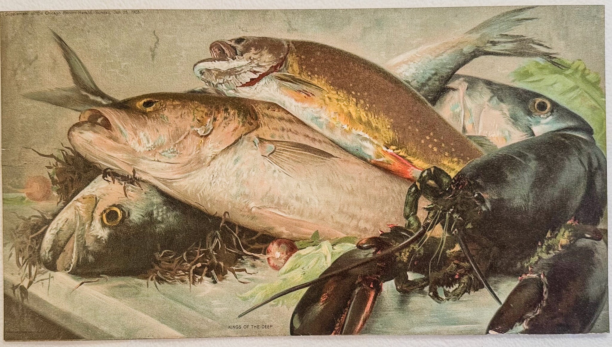 1903 Kings of the Deep | Chicago Record-Herald Art Supplement