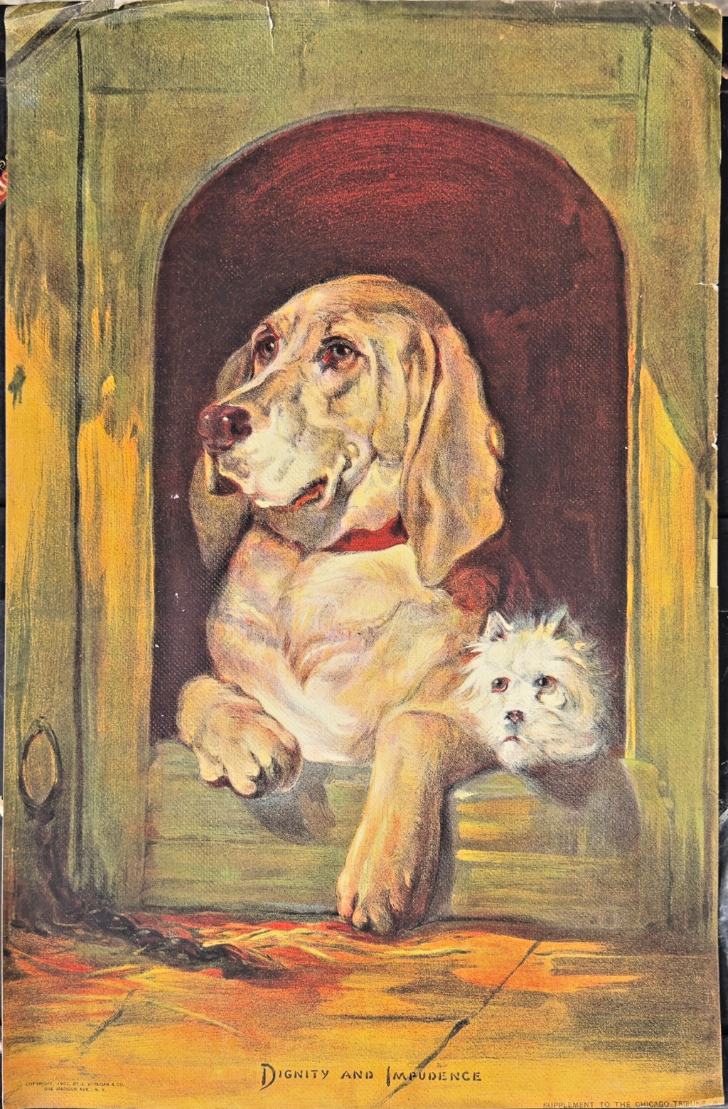 “Dignity and Impudence” – 1902 Chicago Tribune Lithograph, Antique Dog Print