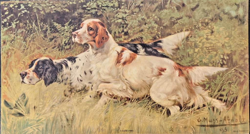 1903 Indianapolis Sentinel Sunday Supplement Print - “A Good Stand"