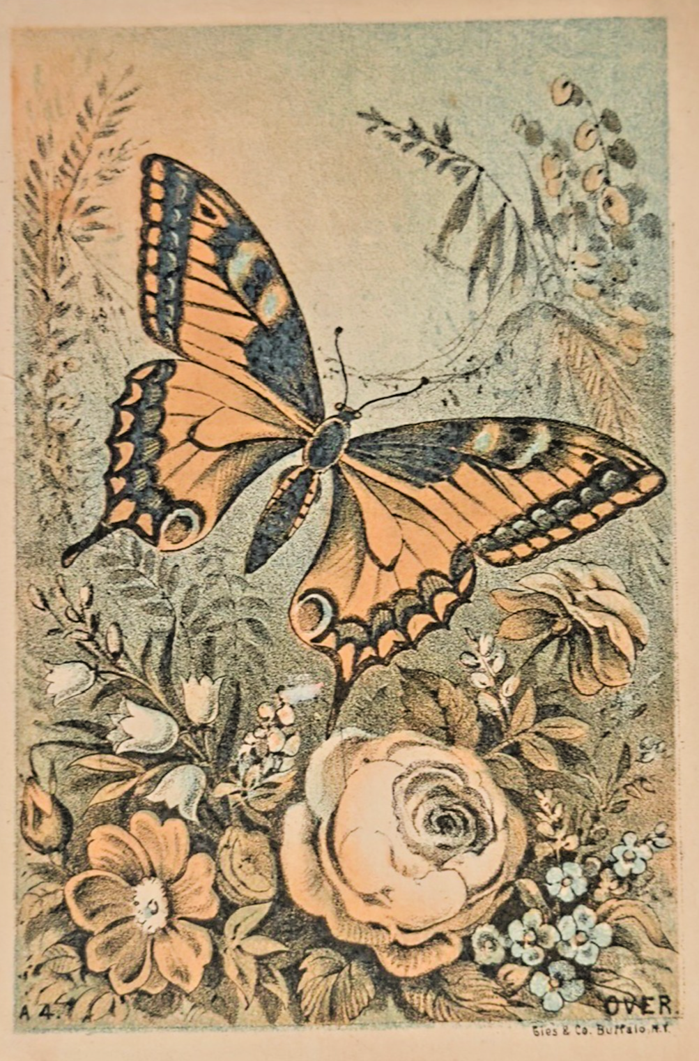 Antique Butterfly Trade Card – J.F. Seiberling & Co Akron OH – Empire Mower Ad