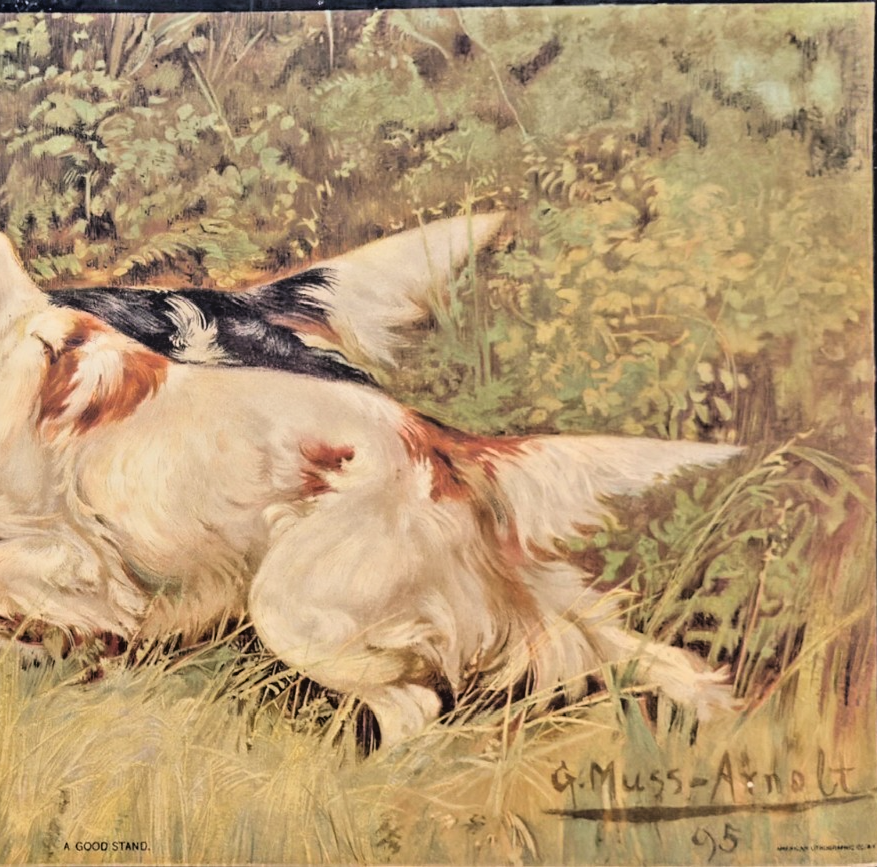 1903 Indianapolis Sentinel Sunday Supplement Print - “A Good Stand"