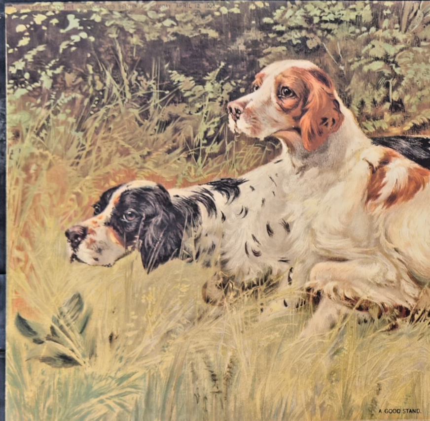 1903 Indianapolis Sentinel Sunday Supplement Print - “A Good Stand"