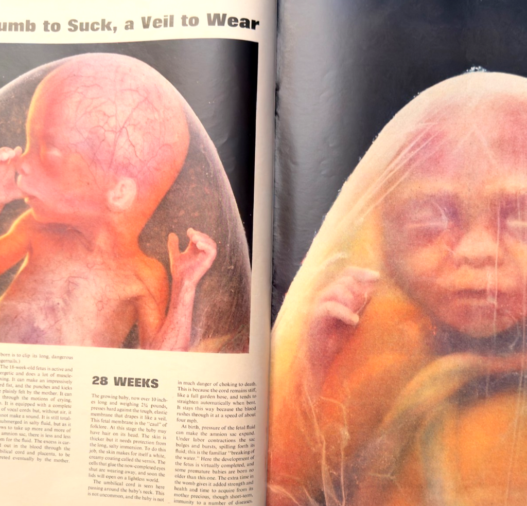 LOT 3 LIFE MAGAZINES-DECADES 50s 60s 70s