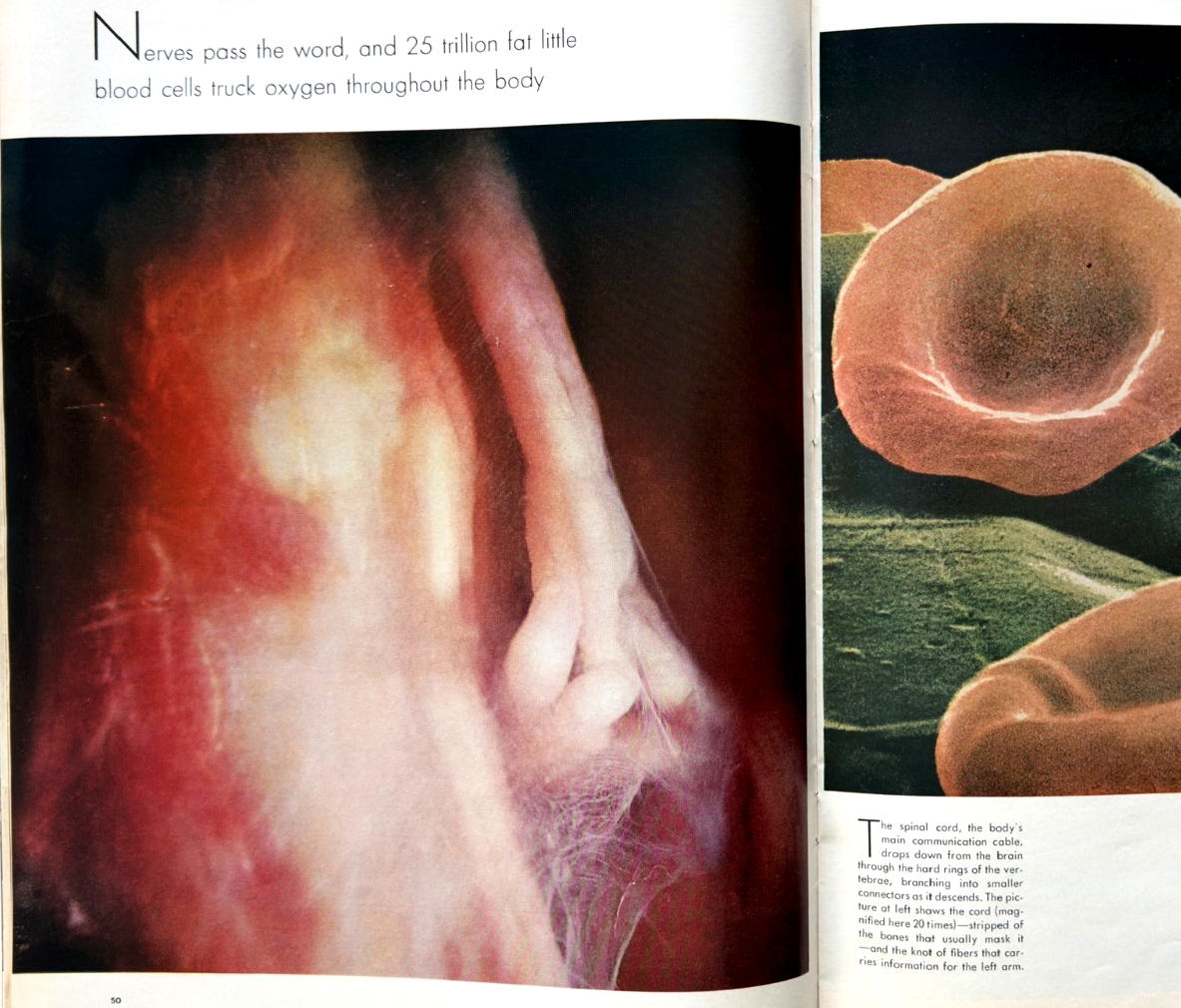 LOT 3 LIFE MAGAZINES-DECADES 50s 60s 70s