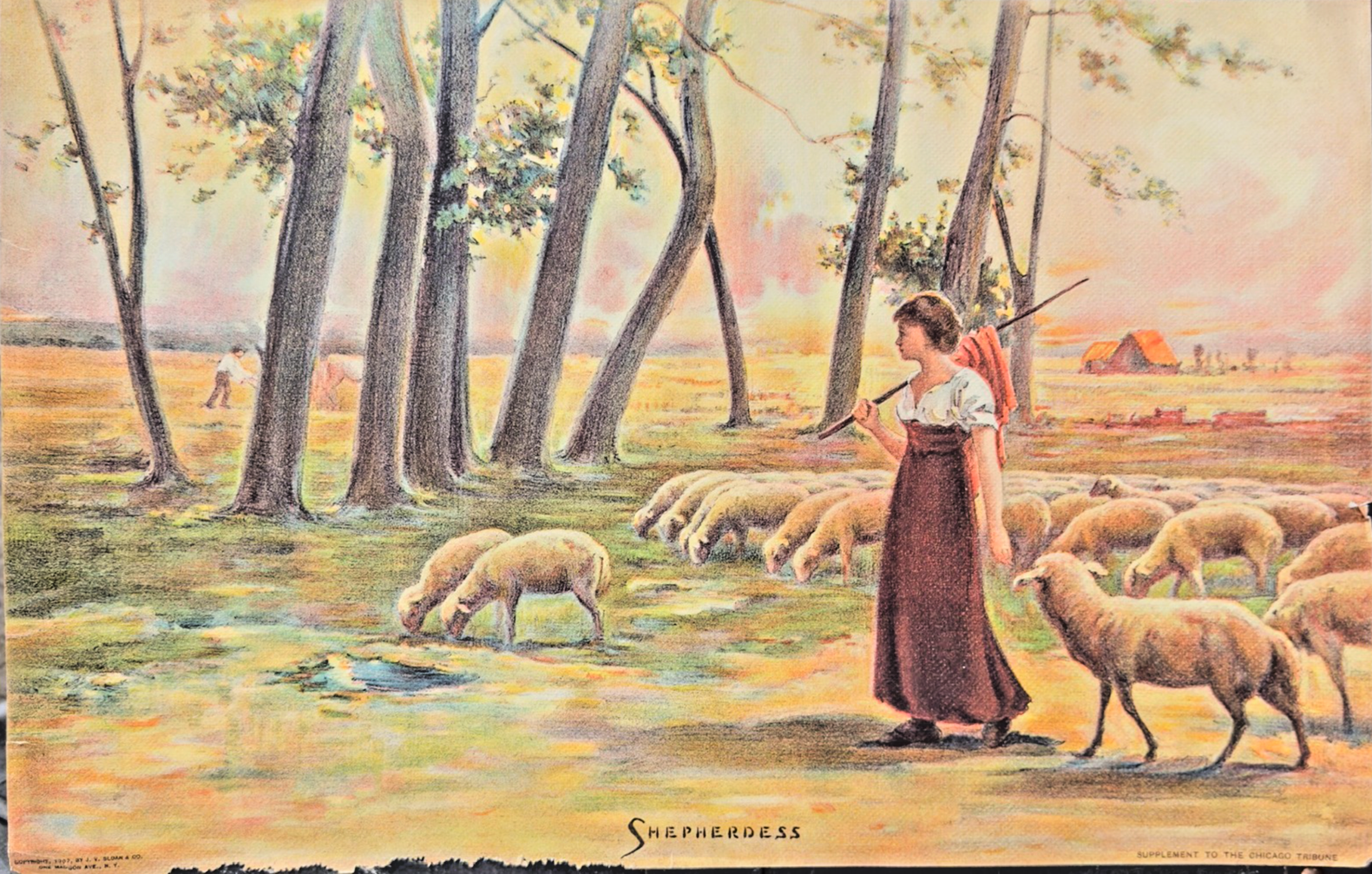 1907 Chicago Tribune Art Supplement “Shepherdess” Color Print / Newspaper Insert