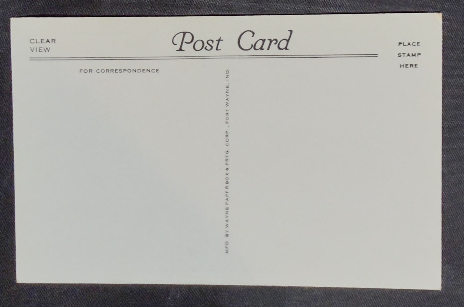 Vintage Postcard 1940s Varieties of Texas Cactus