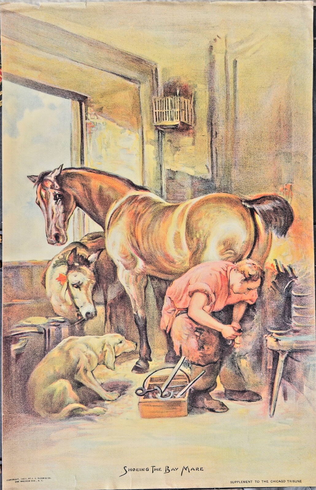 1907 Chicago Tribune Sunday Art Supplement "Shoeing the Bay Mare”