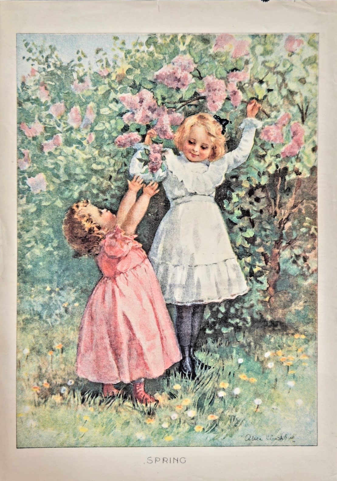 1904 The Sunday Magazine (Chicago Record-Herald) — May 8, 1904