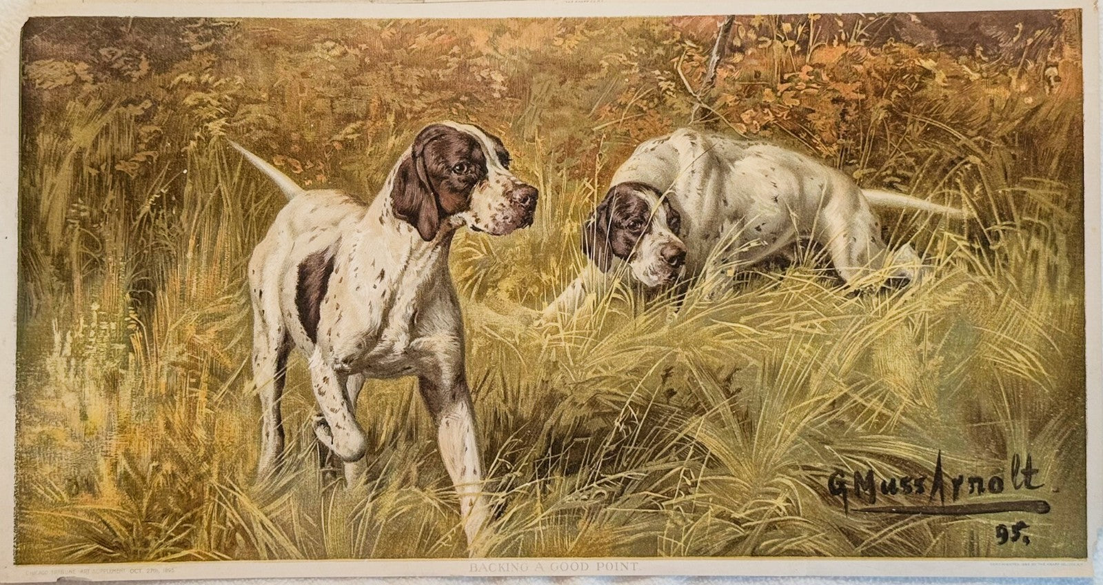 1895 Chicago Tribune ART Supplement 'Backing a Good Point'