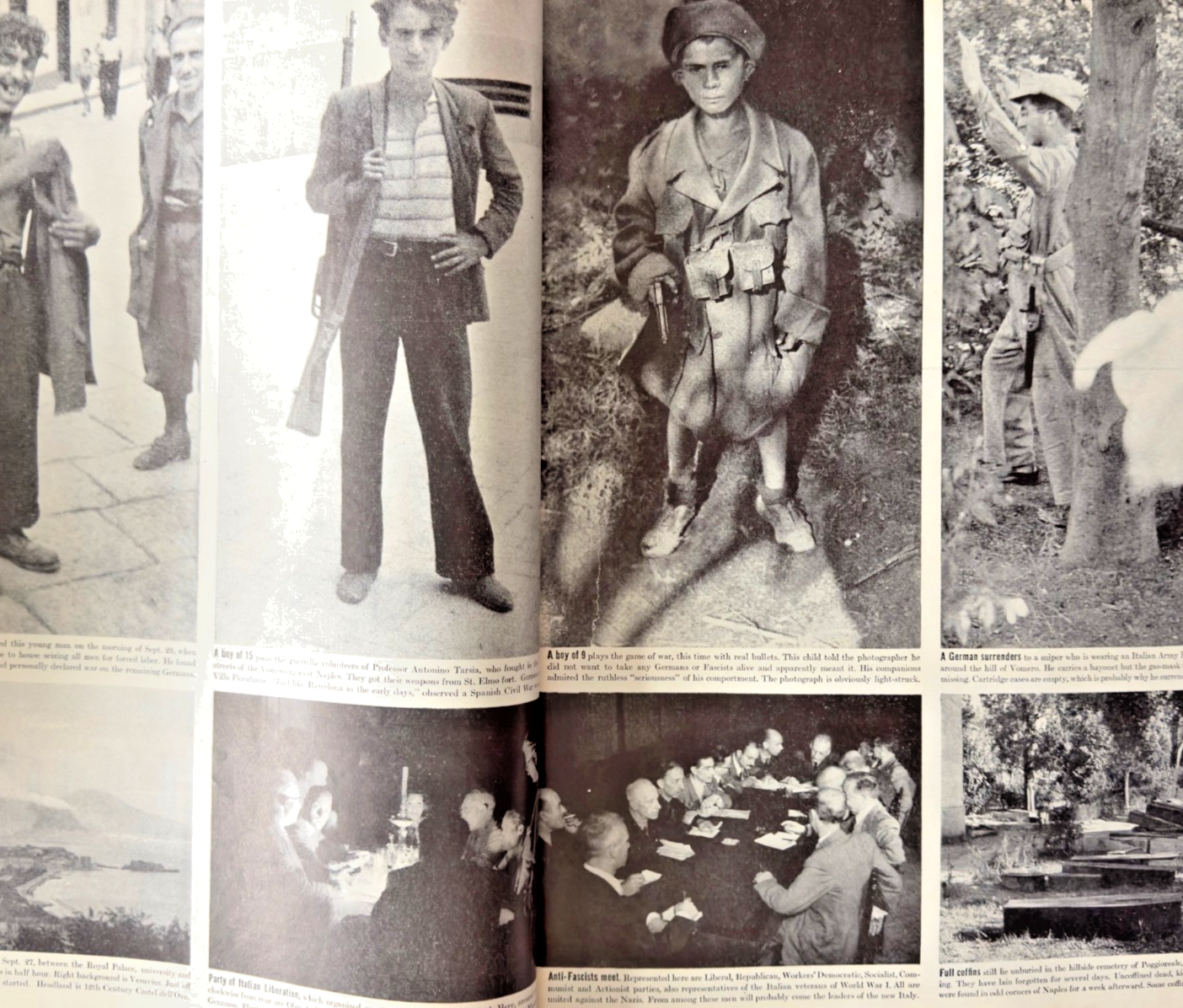 29ccf1cf-01c9-49bb-87ac-c100dfe412fa