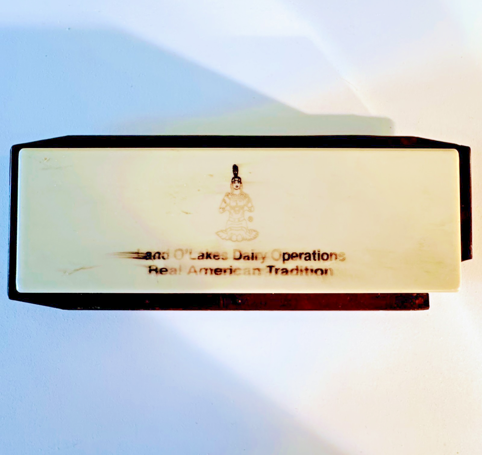 RARE Vintage Plastic Land O'Lakes Butter Table Dish - Retired Logo