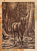 1893 Chicago Herald Art Supplement- 'King of the Forest' Rosa Bonheur