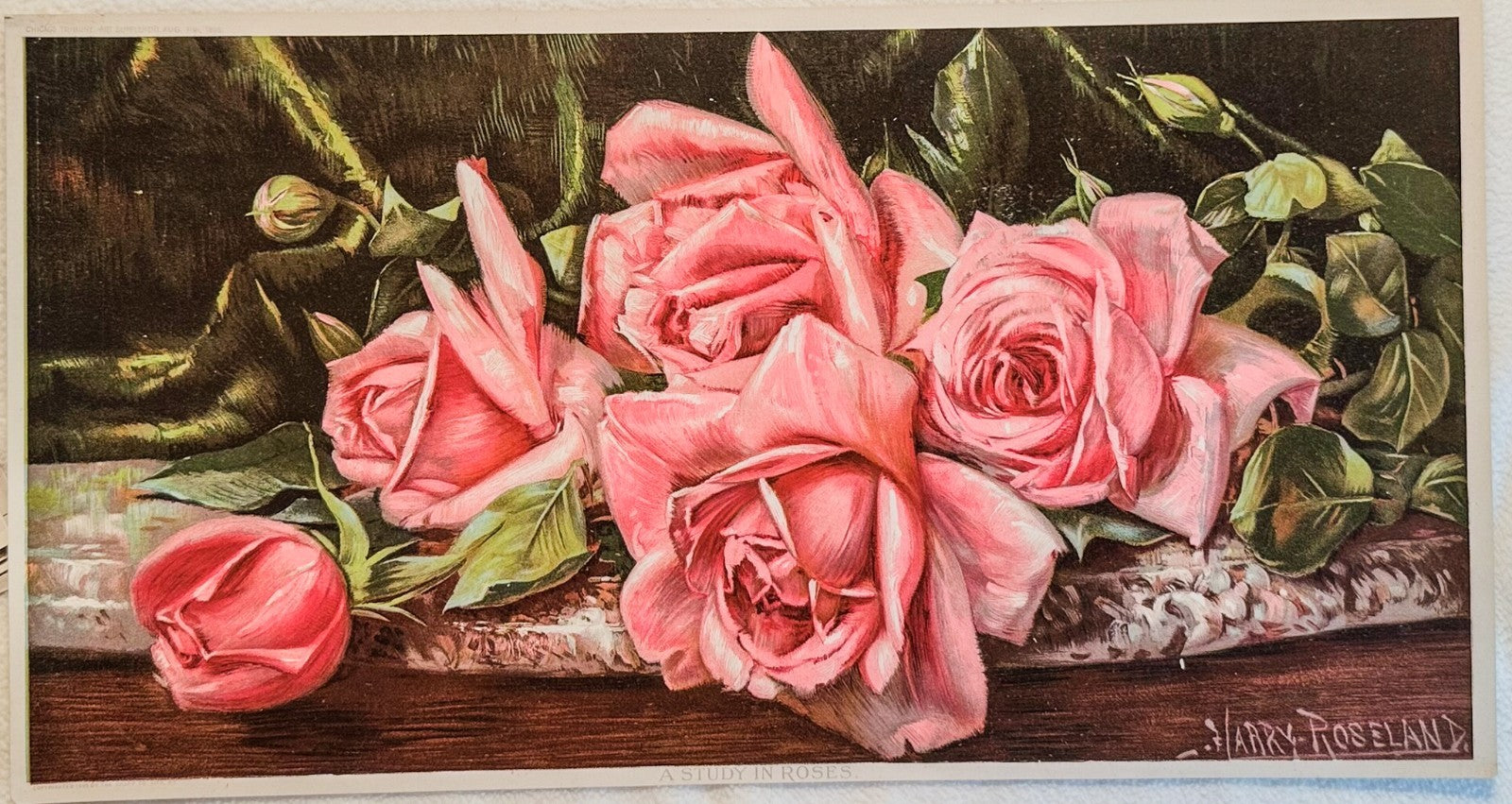 1895 Chicago Tribune ART Supplement 'A Study in Roses'
