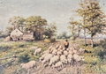 1902 Charles Williams Pastoral sheep herding scene- Sunday newspaper art supplem