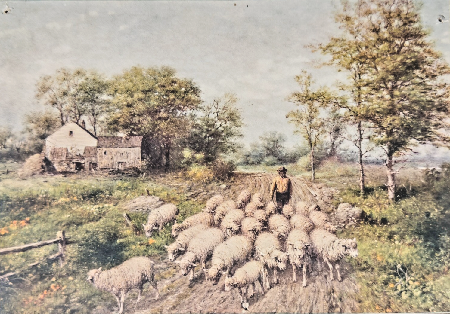 1902 Charles Williams Pastoral sheep herding scene- Sunday newspaper art supplem