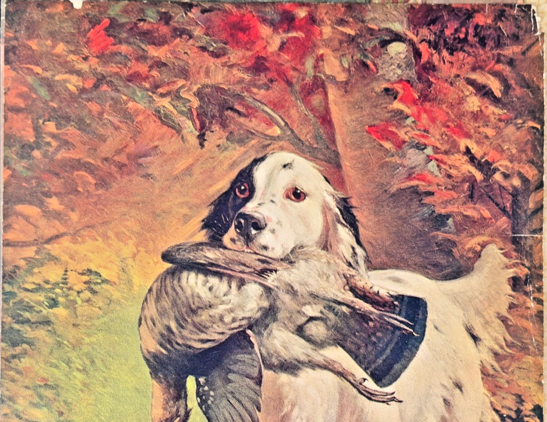 “Proud Moment” — 1907 Chromolithograph — Chicago Tribune Supplement