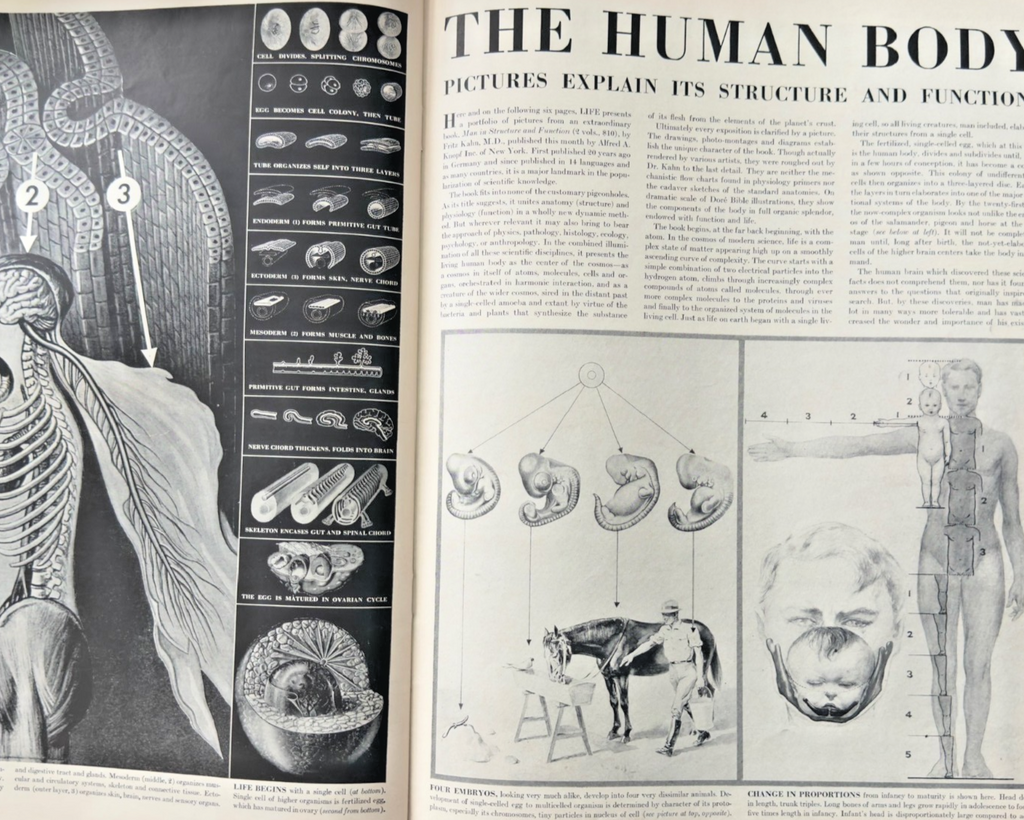 LOT 2 LIFE MAGAZINES -1943 'PICTURE ROMANCE' & 'SOLDIER'S FAREWELL'