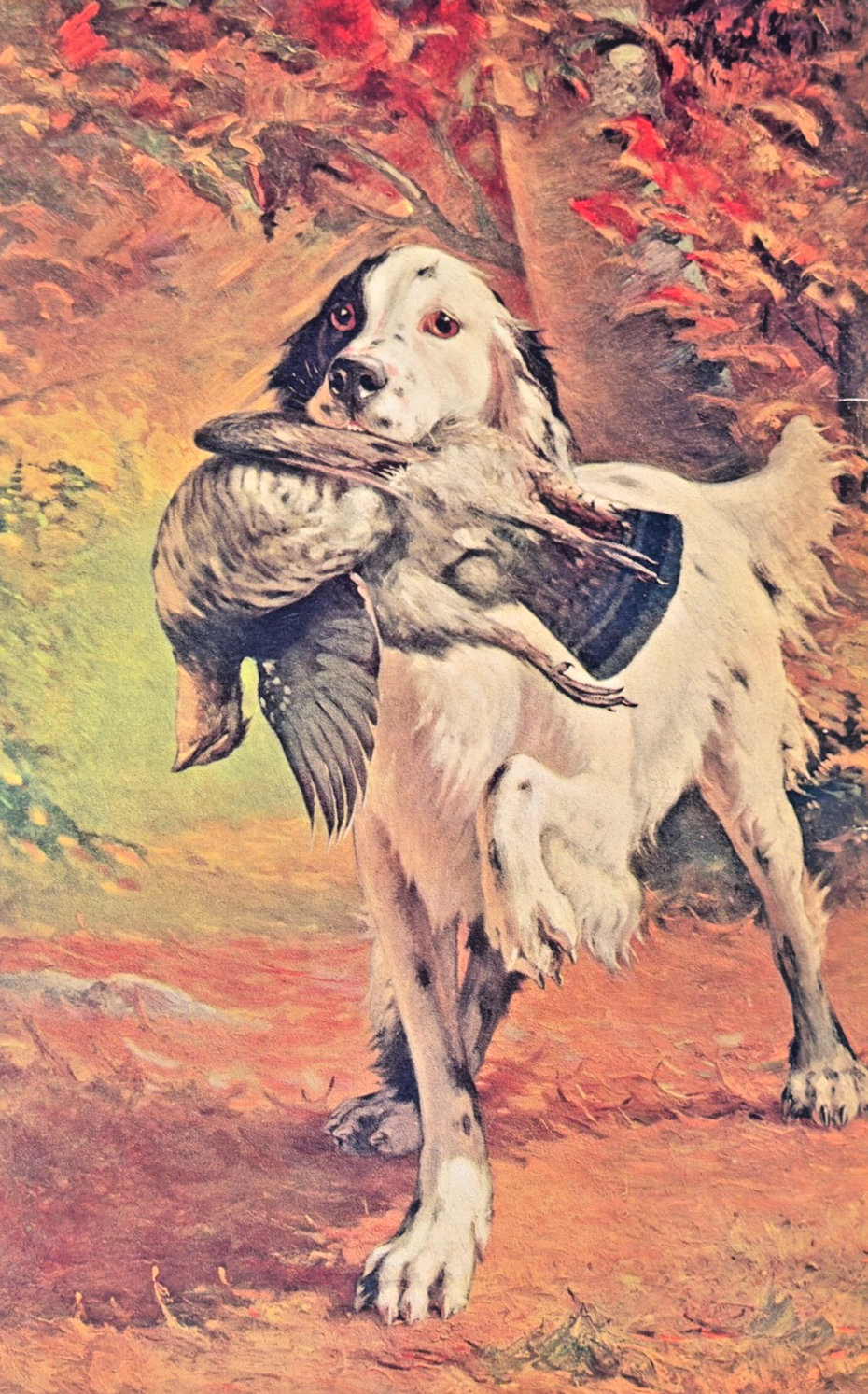 “Proud Moment” — 1907 Chromolithograph — Chicago Tribune Supplement