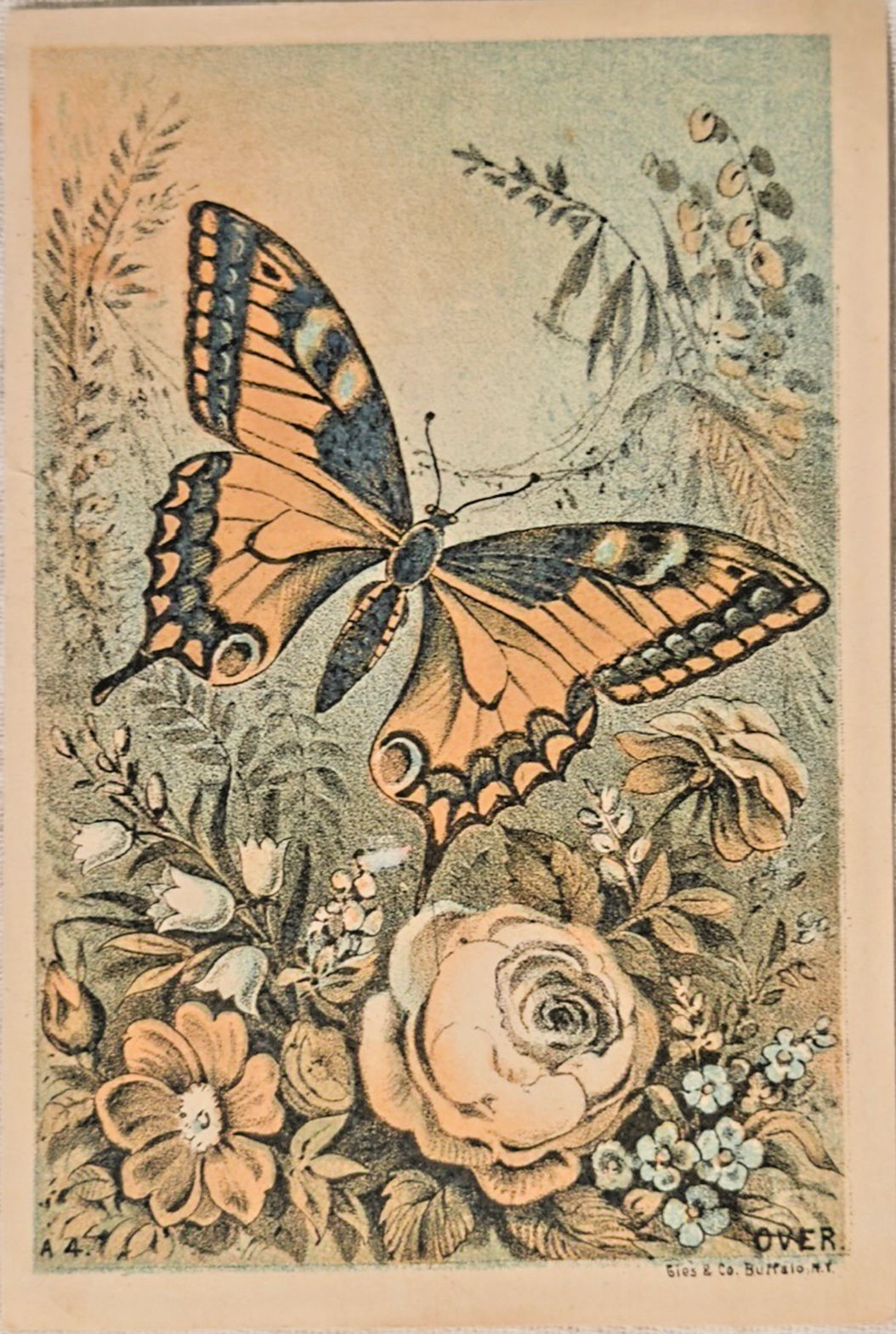 Antique Butterfly Trade Card – J.F. Seiberling & Co Akron OH – Empire Mower Ad