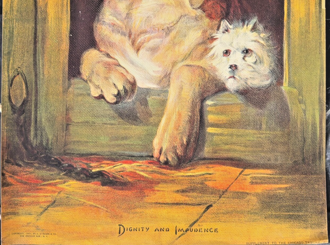 “Dignity and Impudence” – 1902 Chicago Tribune Lithograph, Antique Dog Print