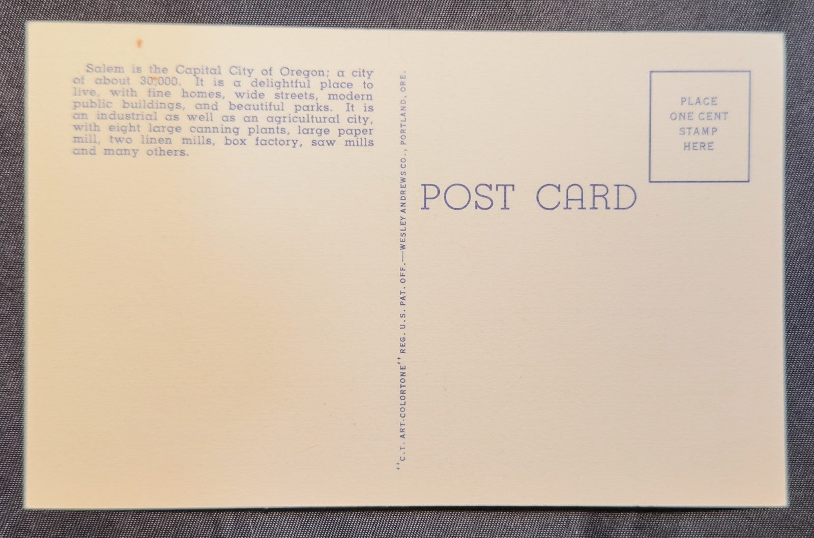 Vintage Postcard 1940s Skyliner View Salem, Oregon