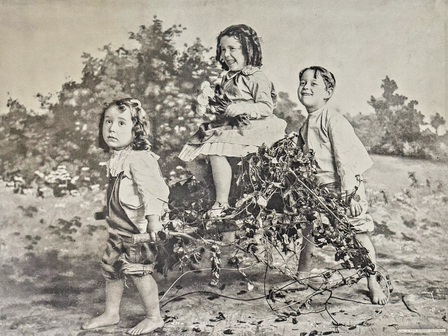 1900s Supplement to the Sunday Sentinel- 'Precious Burden'