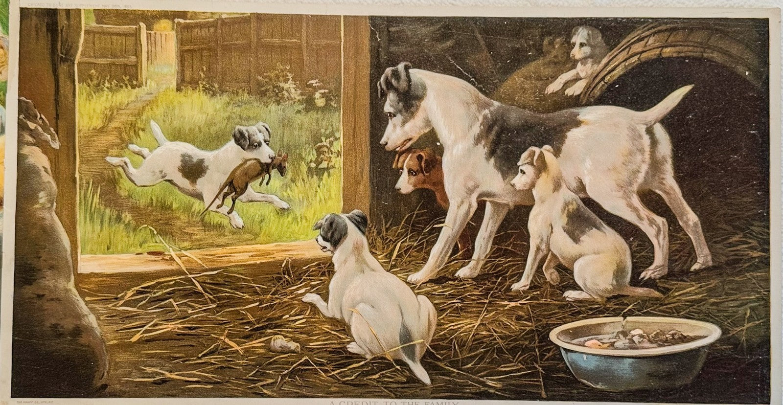 1895 Chicago Tribune ART Supplement 'A Credit to the Family'