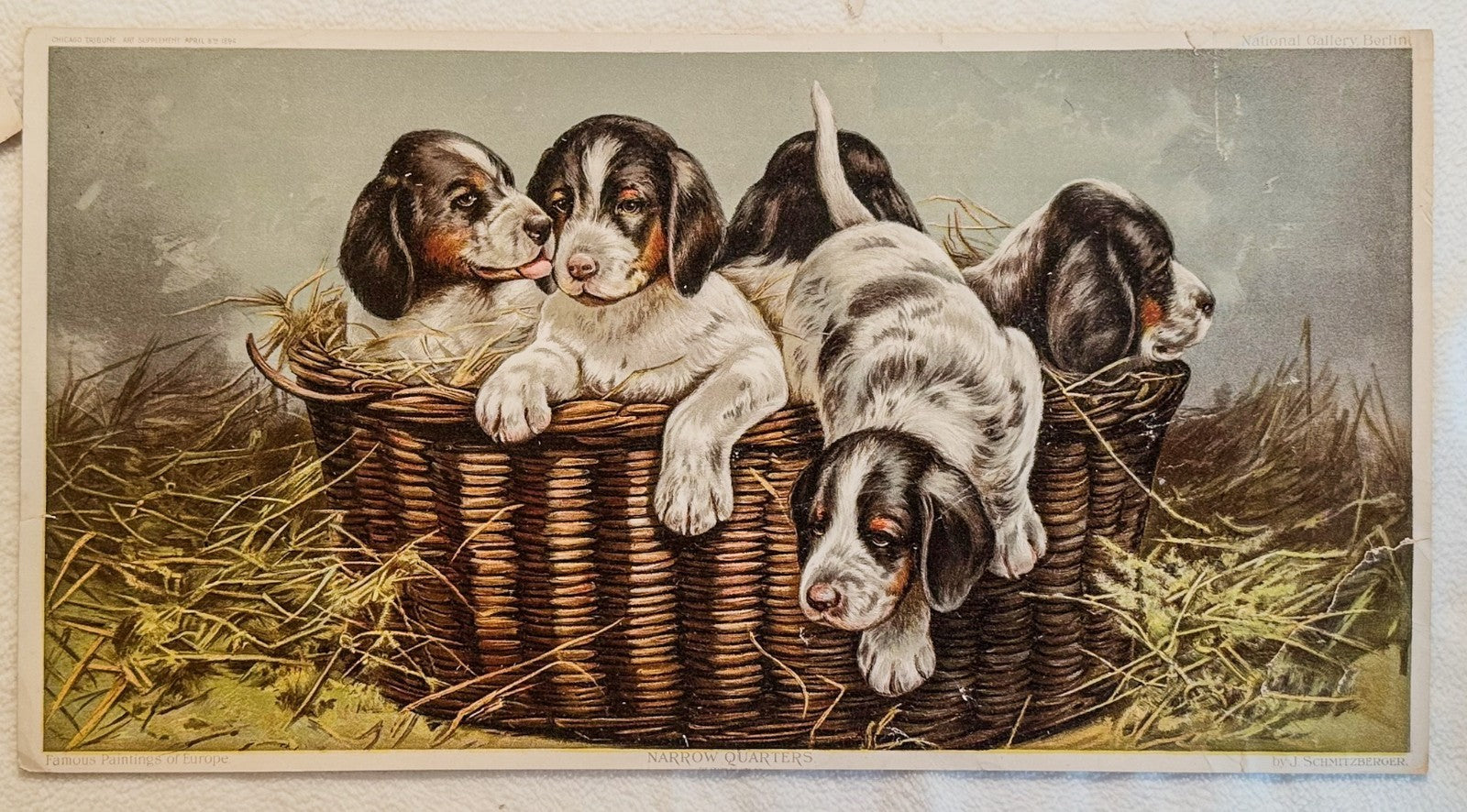 1894 Chicago Tribune ART Supplement 'Narrow Quarters'