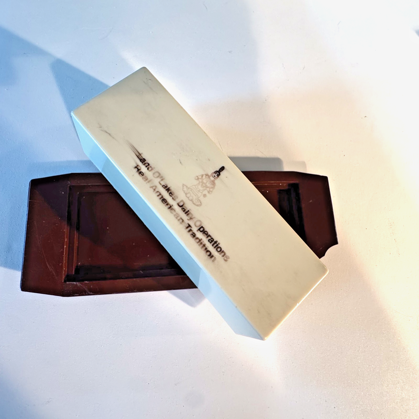 RARE Vintage Plastic Land O'Lakes Butter Table Dish - Retired Logo