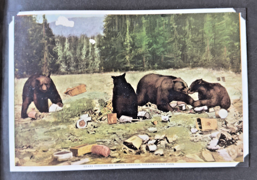 Vintage Yellowstone Souvenir Photo Booklet / Album – “The Wonders of Geyserland”