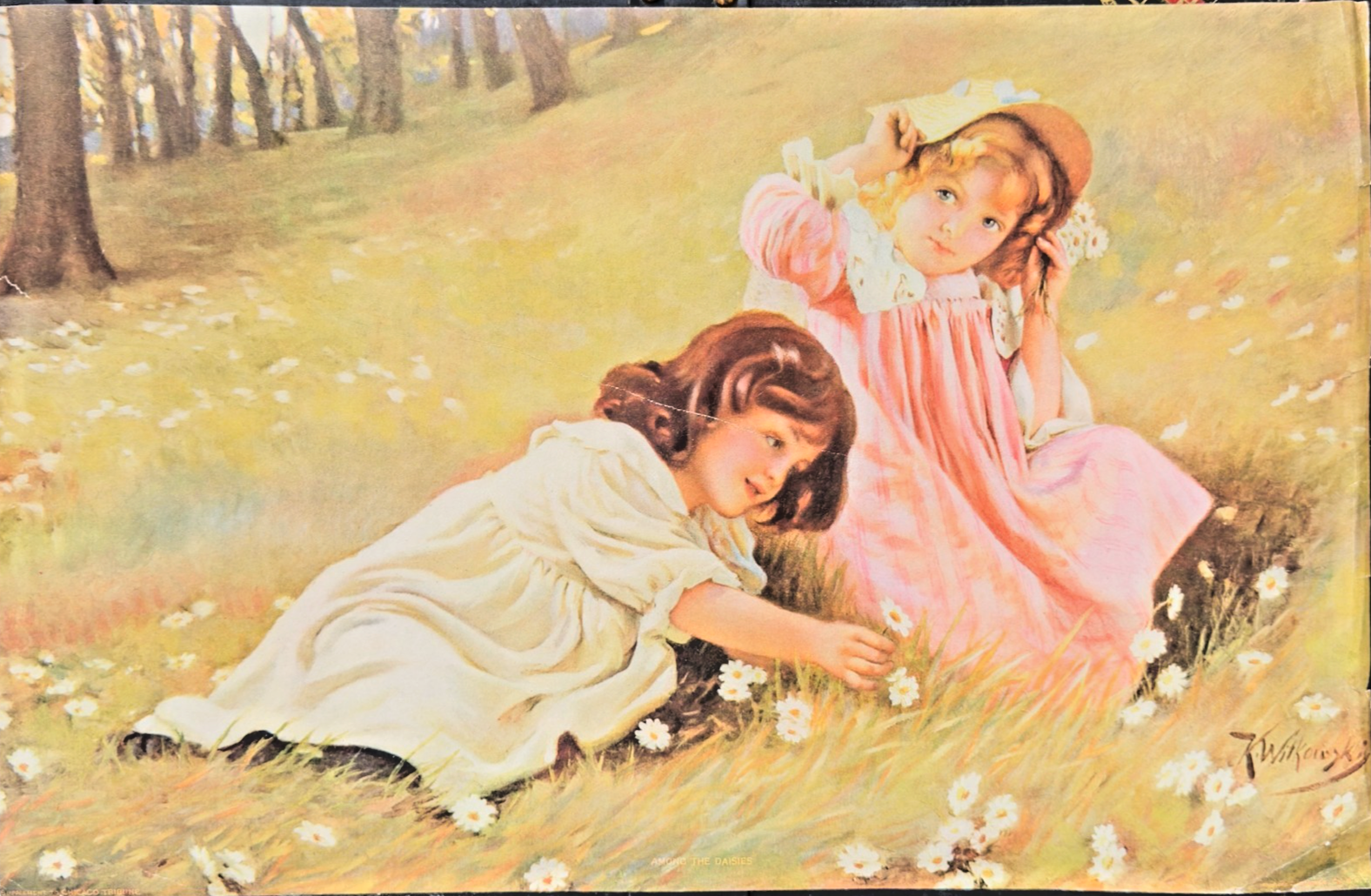 1900s Chicago Tribune Art Supplement — "Among the Daisies"