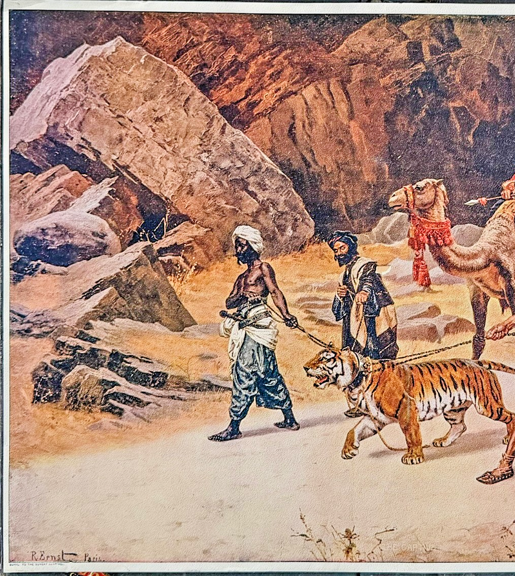 1900 Suppl. t Sunday Sentinel- “Captive Tiger” – Rudolf Ernst Paris