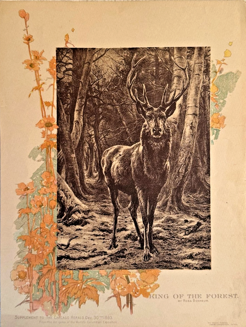 1893 Chicago Herald Art Supplement- 'King of the Forest' Rosa Bonheur