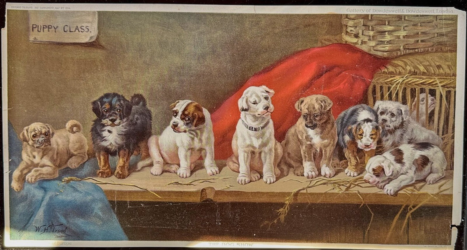 1894 Chicago Tribune ART Supplement 'The Dog Show'