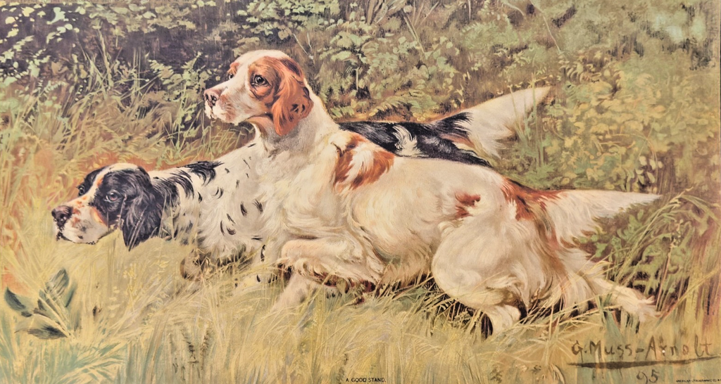 1903 Indianapolis Sentinel Sunday Supplement Print - “A Good Stand"