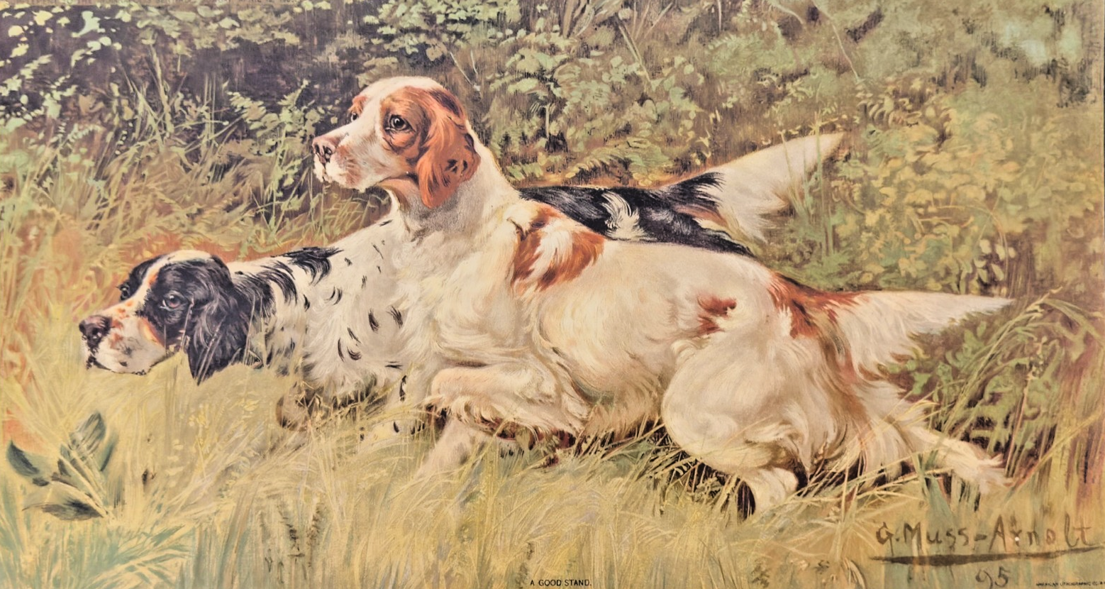 1903 Indianapolis Sentinel Sunday Supplement Print - “A Good Stand"