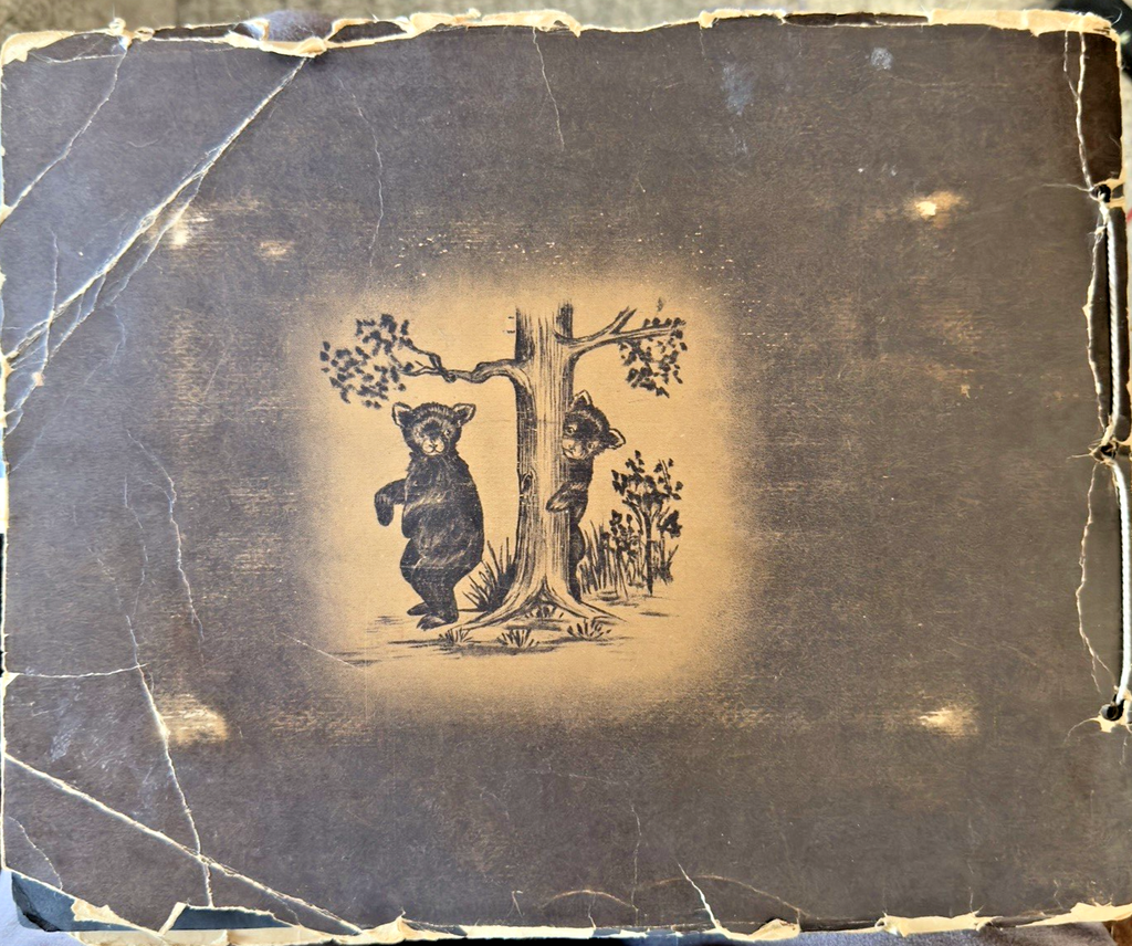 Vintage Yellowstone Souvenir Photo Booklet / Album – “The Wonders of Geyserland”