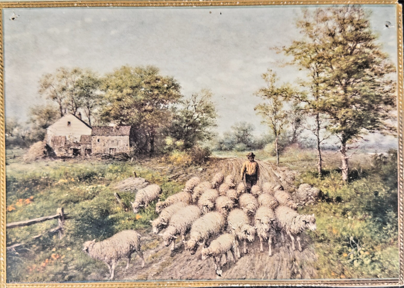 1902 Charles Williams Pastoral sheep herding scene- Sunday newspaper art supplem