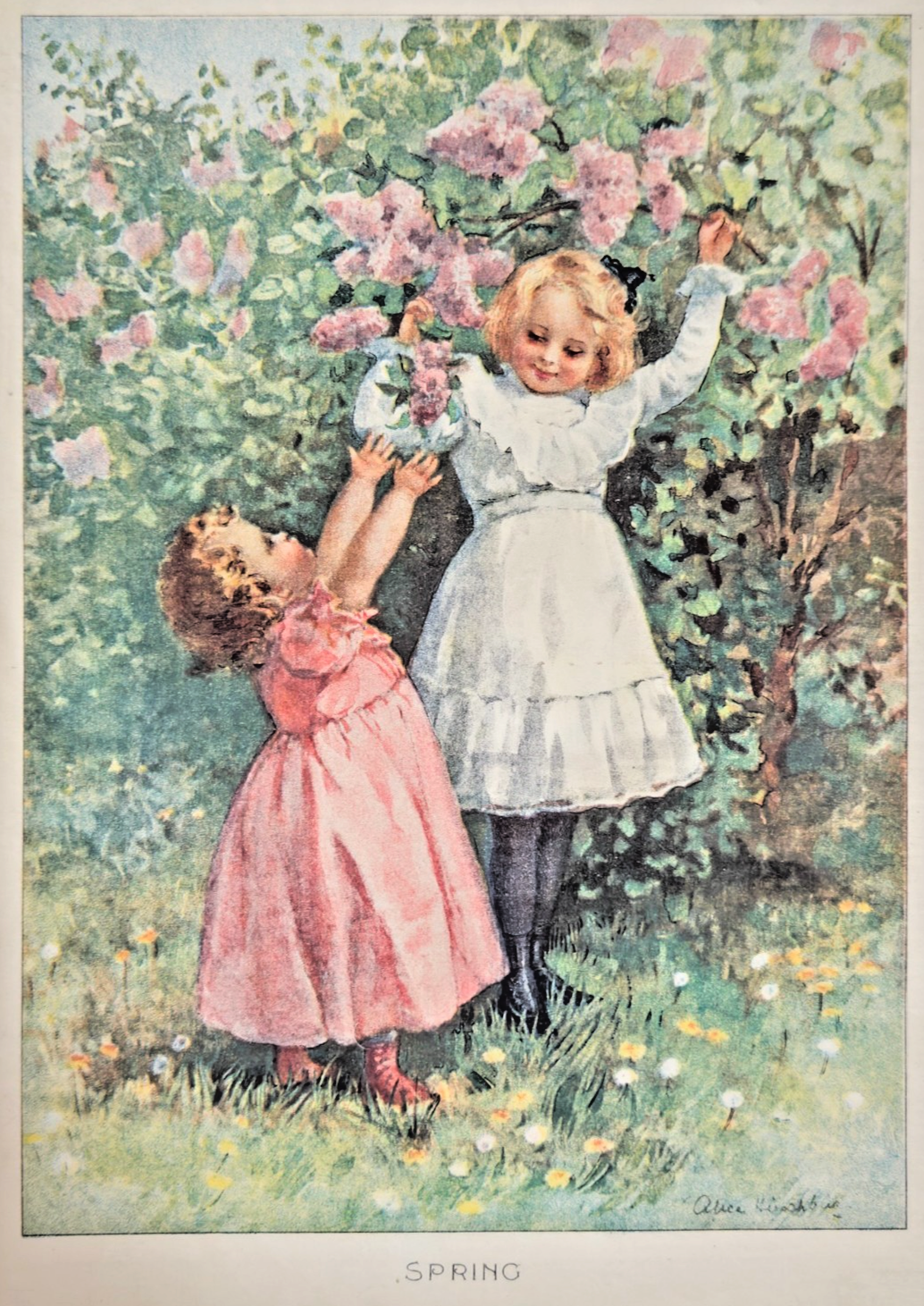 1904 The Sunday Magazine (Chicago Record-Herald) — May 8, 1904