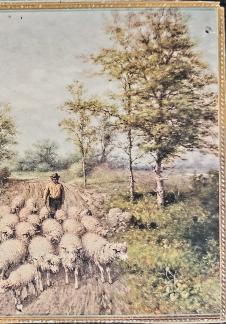 1902 Charles Williams Pastoral sheep herding scene- Sunday newspaper art supplem