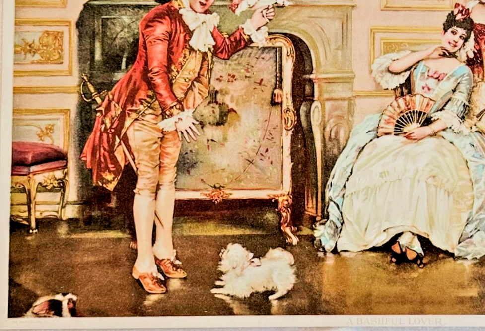 1895 Chicago Tribune ART Supplement 'A Bashful Lover'