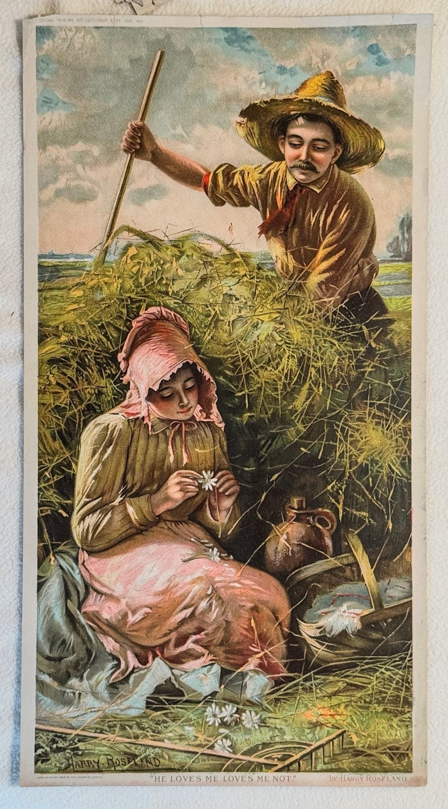 1895 Chicago Tribune ART Supplement 'He Loves Me Loves Me Not'