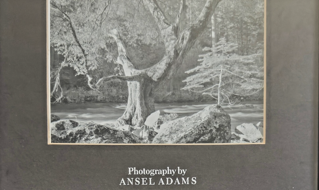 Photography by Ansel Adams’ Matted/Framed Print- "River Tree & Rocks"