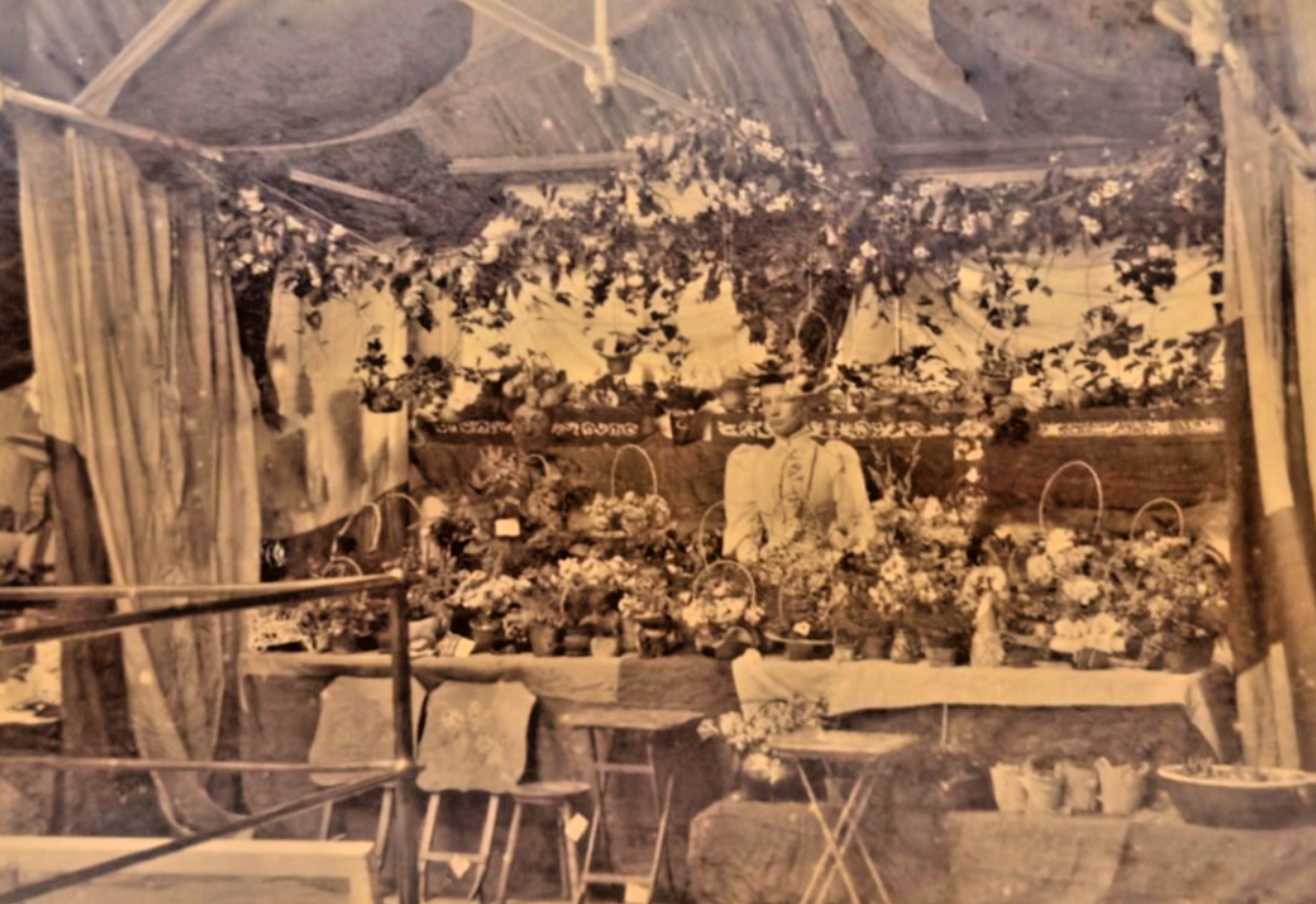 Vintage photograph of a floral display inside a tented structure.