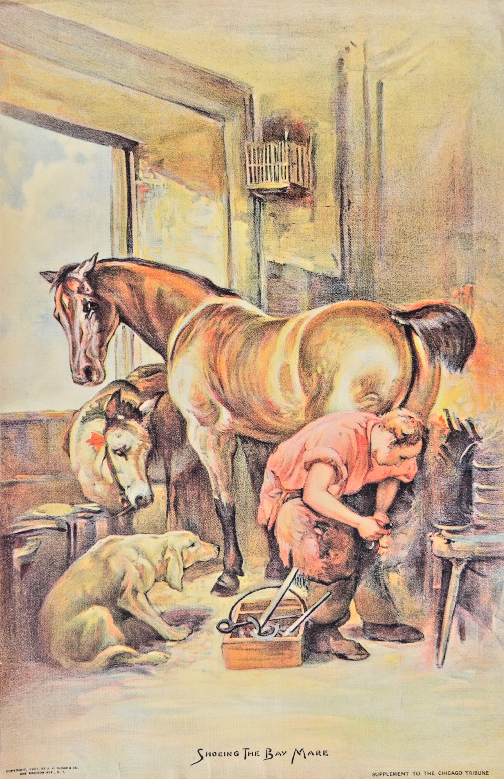 1907 Chicago Tribune Sunday Art Supplement "Shoeing the Bay Mare”