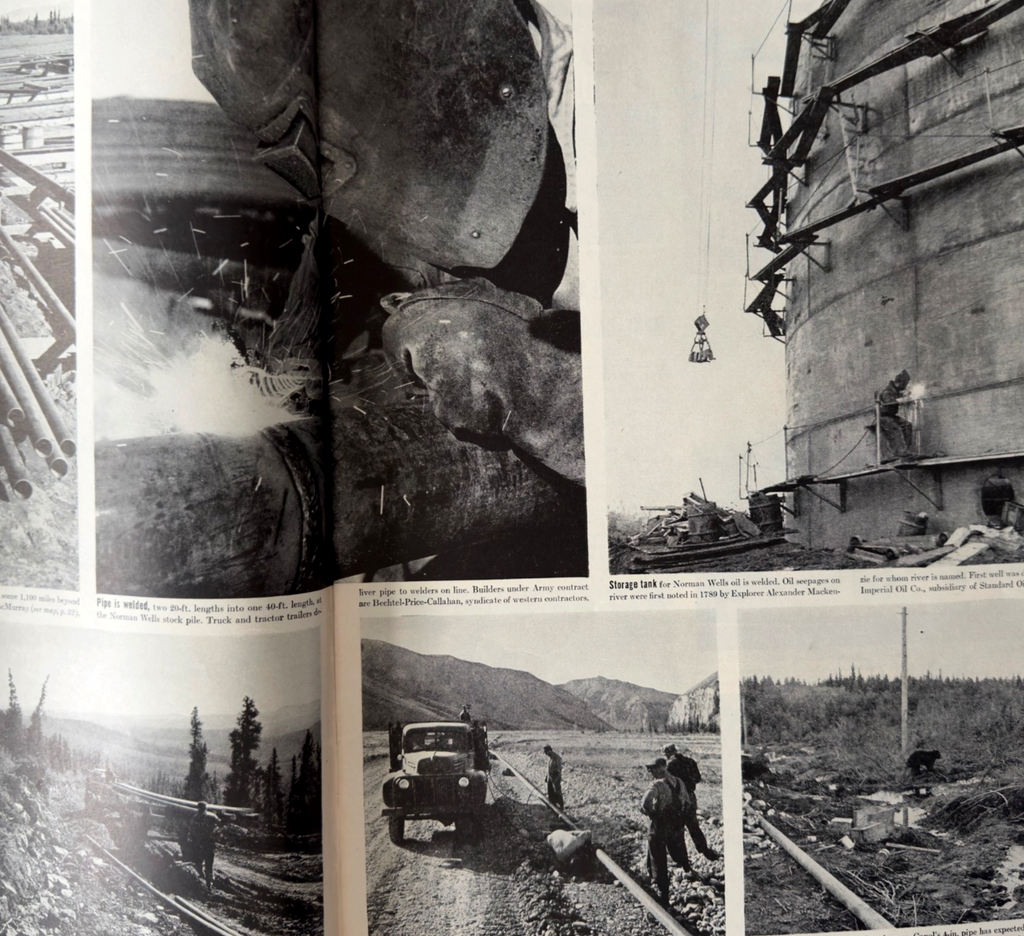 8c1bb5b5-9291-44b5-aab6-fb031efe2cdd