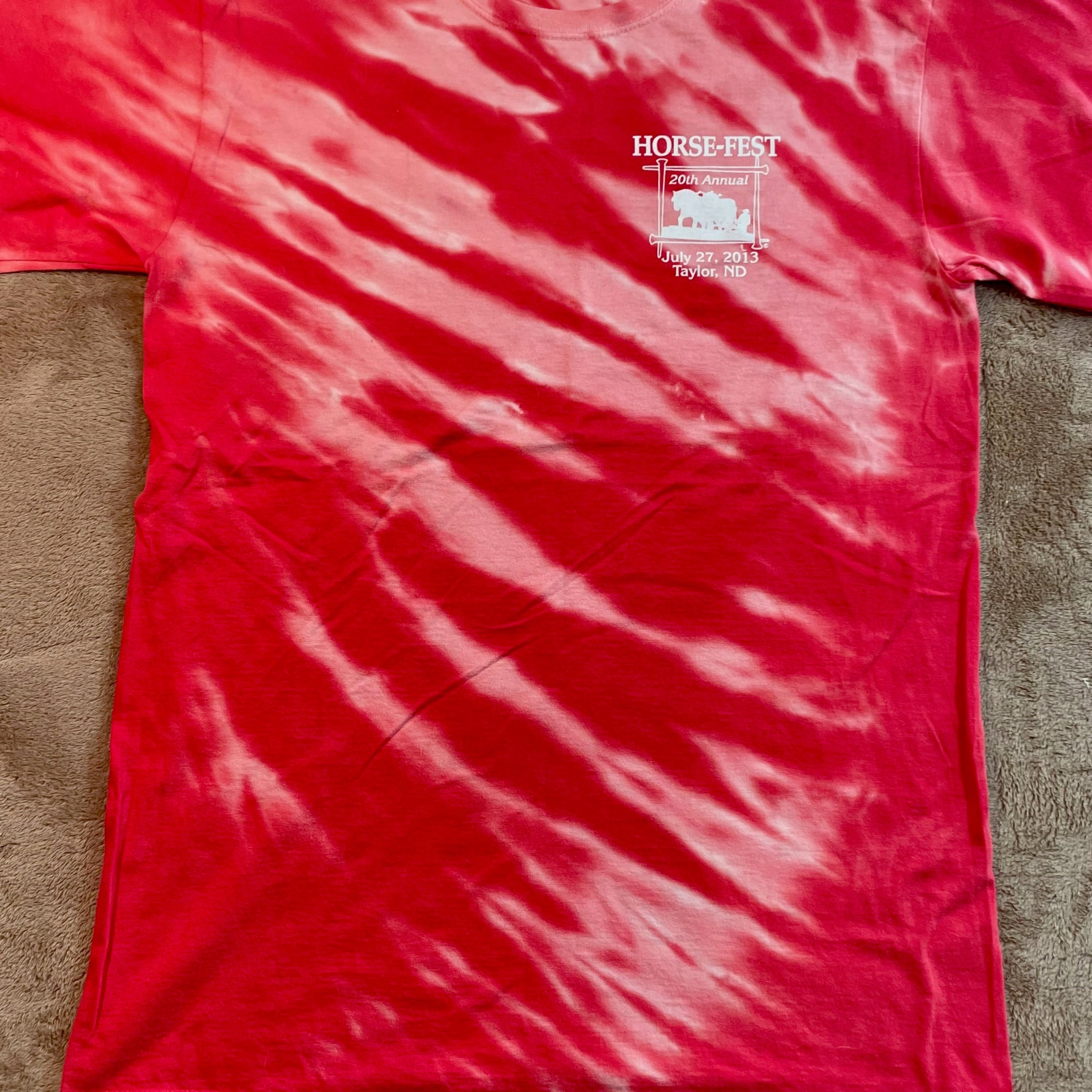 North Dakota Taylor Horsefest 2013 T-Shirt Medium