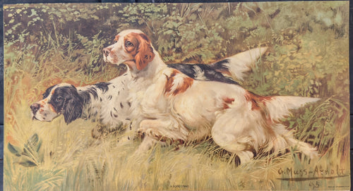 Two dogs lying in grass with a natural background