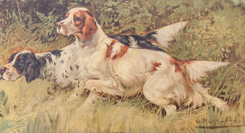Two dogs lying in grass with a natural background