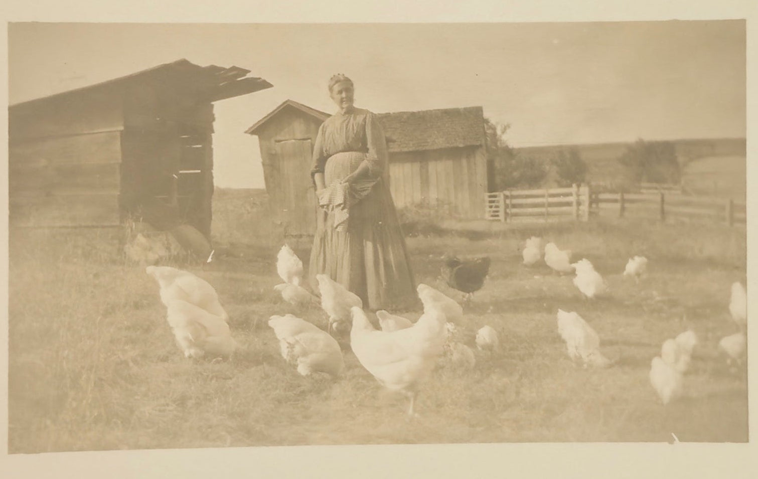 Woman standing with chickens in a rural setting